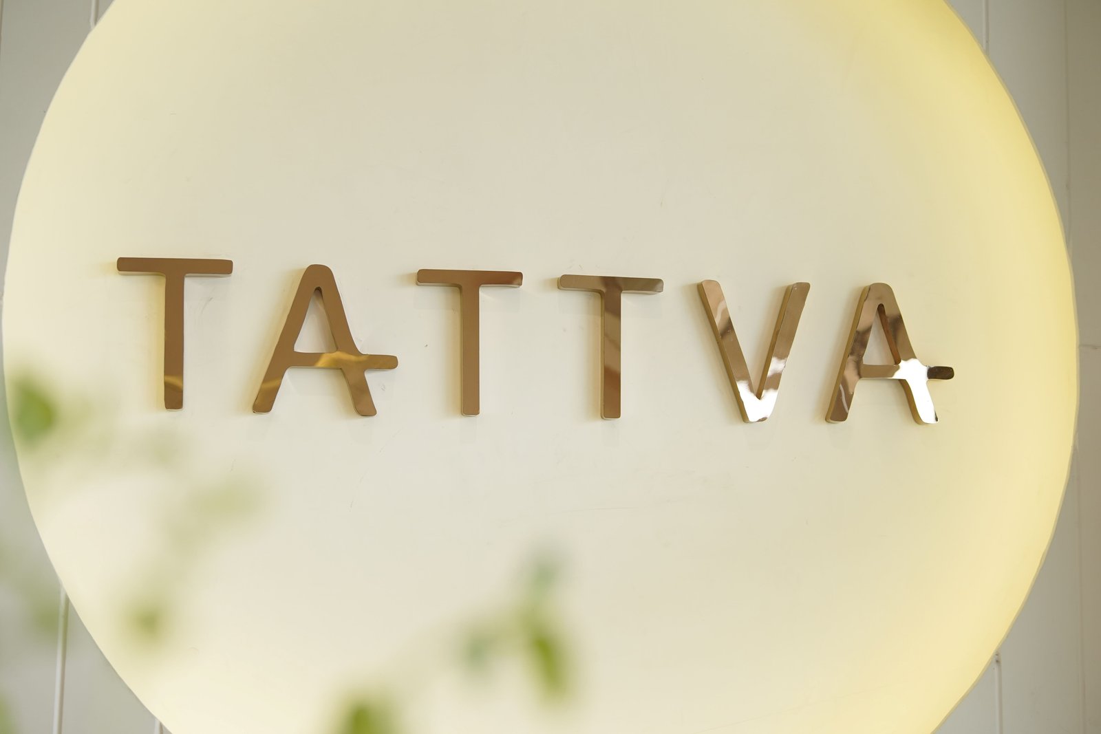 TATTVA Gallery Image 1